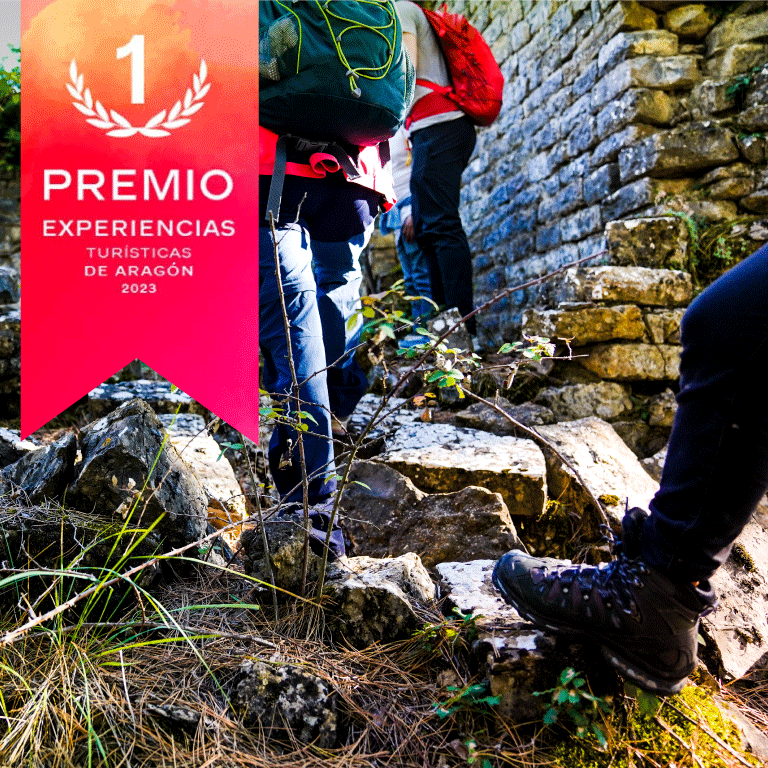 premio